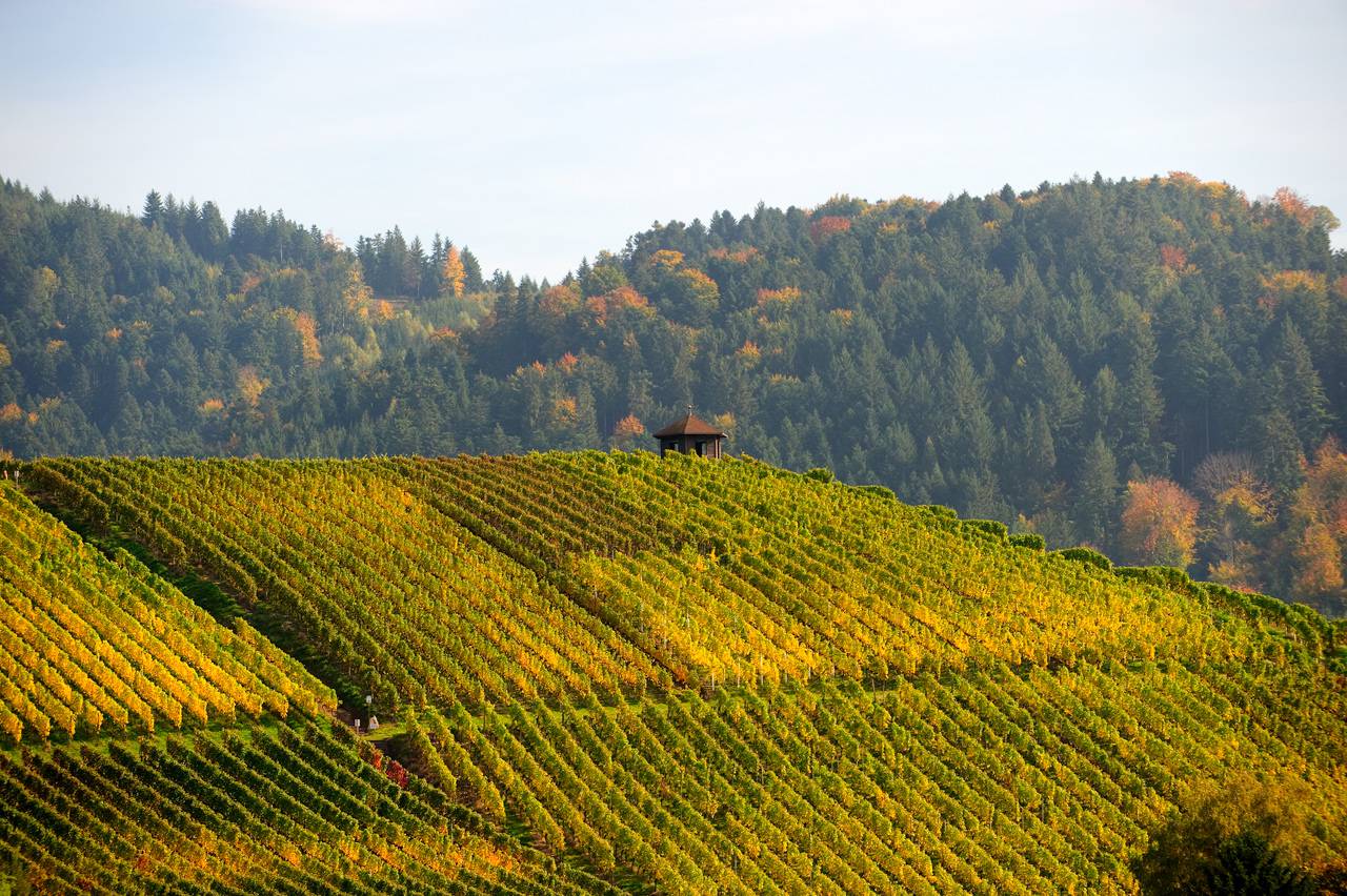 Lassen Sie sich verzaubern - Gengenbach Adventures