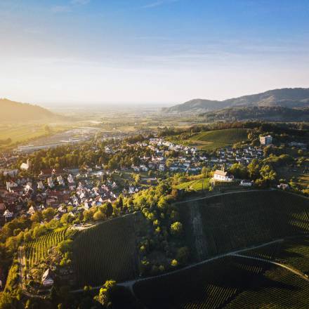 Gengenbach aus Vogelperspektive im Sommer