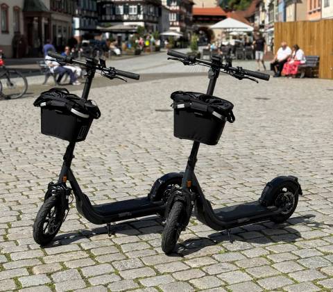 E-Scooter Tour - Gengenbach Adventures