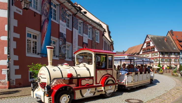 Weinentdecker-Fahrt - Gengenbach Adventures