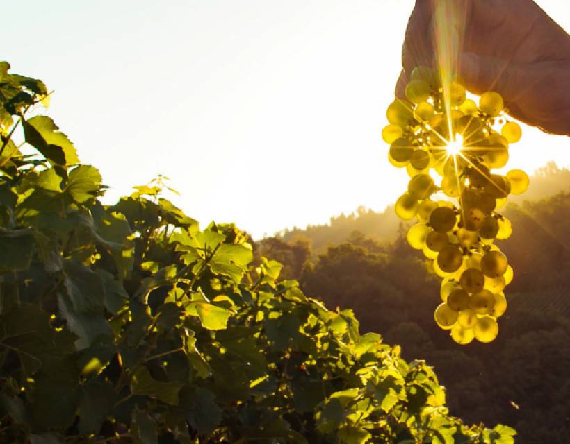 Konzeptentwicklung - Gengenbach Adventures